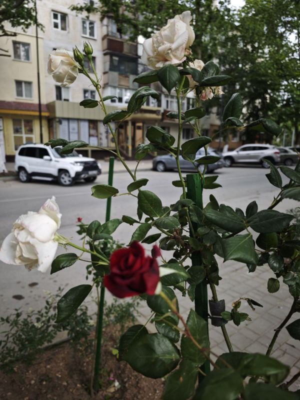 Александр Овдиенко: Хочу именно в День российского предпринимательства искренне поблагодарить всех предпринимателей нашего города из их системный вклад в развитие и благоустройство наших улиц, скверов и парка Александр Овдиенко: Хочу именно в День российского предпринимательства искренне поблагодарить всех предпринимателей нашего города из их системный вклад в развитие и благоустройство наших улиц, скверов и парка