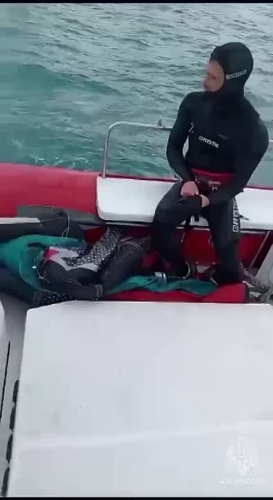    ,    -  