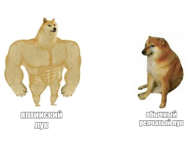         -,    , , 
