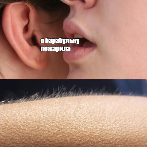         -,    , , 