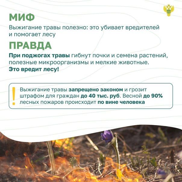 #информация_для_населения #информация_для_населения