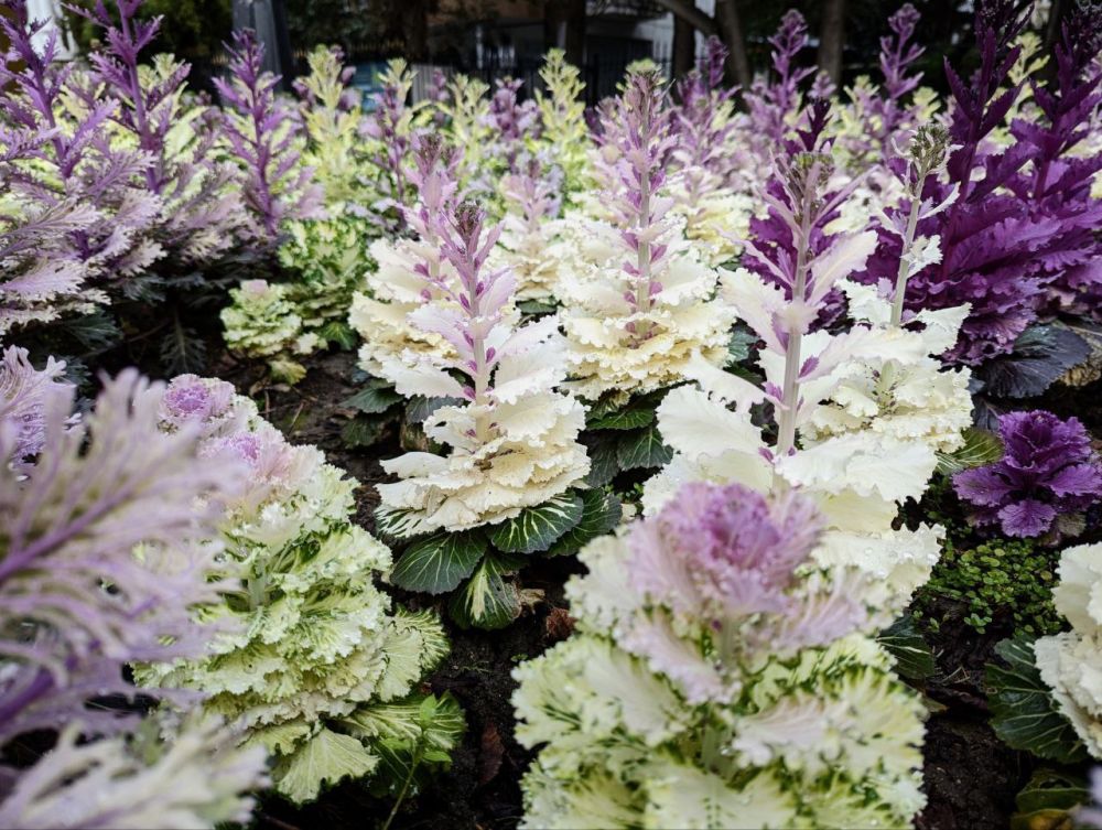 Янина Павленко: Прощаемся с весной, друзья! И с ее последним рабочим днем Янина Павленко: Прощаемся с весной, друзья! И с ее последним рабочим днем