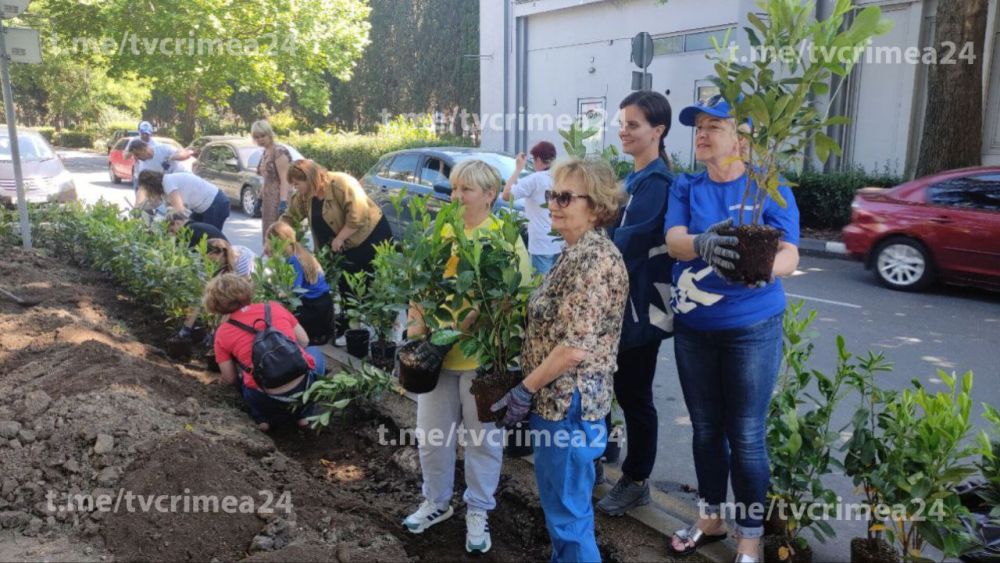 В Ялте коммунальщики высаживают живые изгороди В Ялте коммунальщики высаживают живые изгороди
