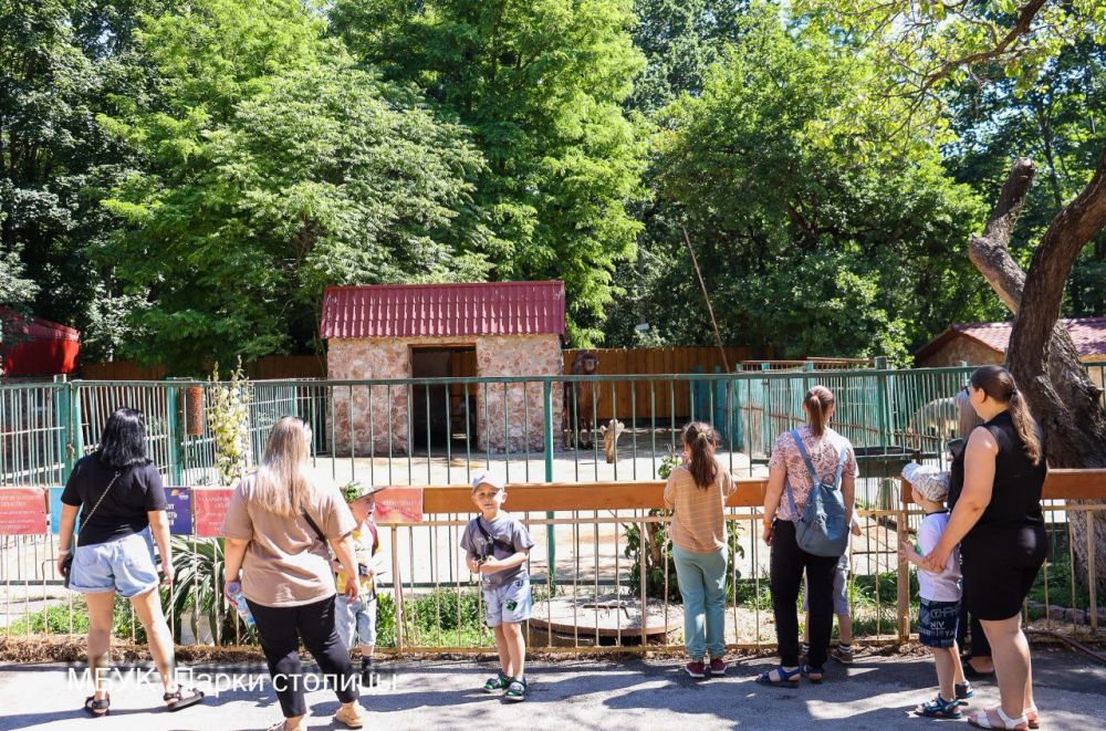 Сегодня дети из семей участников СВО посетили зооуголок и покатались на аттракционах Сегодня дети из семей участников СВО посетили зооуголок и покатались на аттракционах