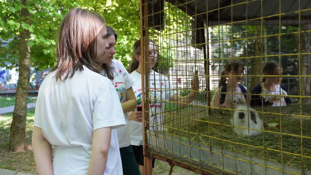 1 июня в крымской столице было по-настоящему солнечно! Сотни счастливых детей из разных городов, посёлков и сёл полуострова прибыли в город, для того, чтобы отпраздновать День защиты детей! 1 июня в крымской столице было по-настоящему солнечно! Сотни счастливых детей из разных городов, посёлков и сёл полуострова прибыли в город, для того, чтобы отпраздновать День защиты детей!