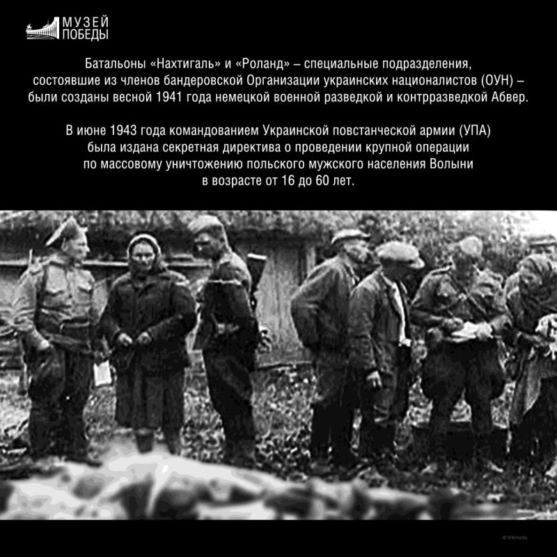 Научные сотрудники Музея Победы ежедневно изучают множество документов и зарубежных книг о Второй мировой и Великой Отечественной войнах Научные сотрудники Музея Победы ежедневно изучают множество документов и зарубежных книг о Второй мировой и Великой Отечественной войнах