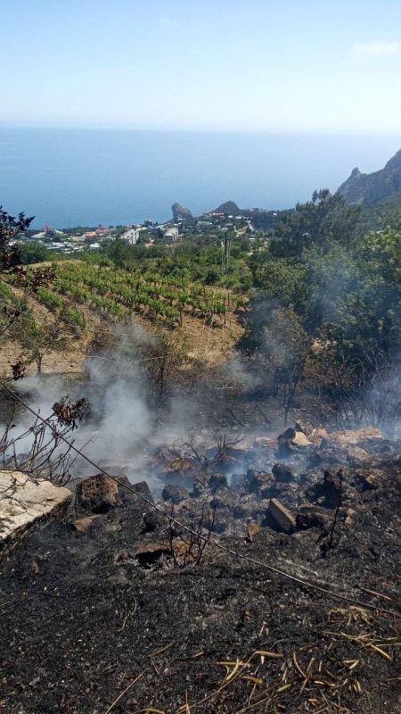 В Крыму за день произошли два пожара в лесной местности В Крыму за день произошли два пожара в лесной местности