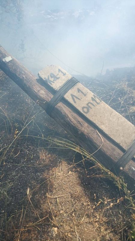 В Крыму за день произошли два пожара в лесной местности В Крыму за день произошли два пожара в лесной местности