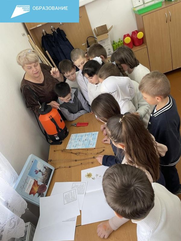 «Успех каждого ребенка»: учащиеся МБОУ «Солнечнодолинская СОШ» городского округа Судак изучают агроэкологию «Успех каждого ребенка»: учащиеся МБОУ «Солнечнодолинская СОШ» городского округа Судак изучают агроэкологию
