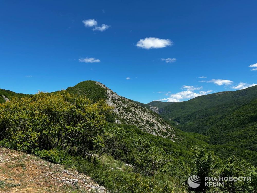 Впечатляющий вид на Большой каньон Крыма Впечатляющий вид на Большой каньон Крыма