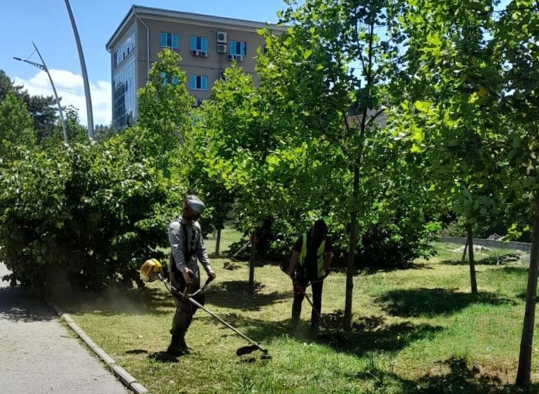В парках и скверах Симферополя в ежедневном режиме ведётся покос травы: в работах задействовано 12 человек В парках и скверах Симферополя в ежедневном режиме ведётся покос травы: в работах задействовано 12 человек