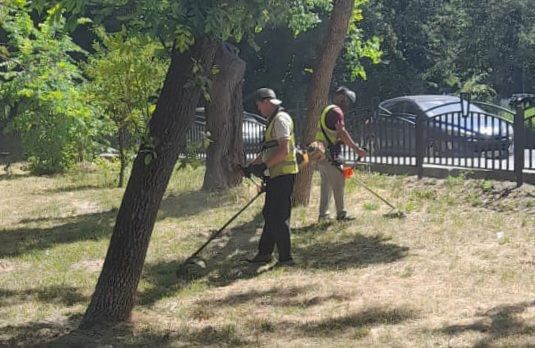 В парках и скверах Симферополя в ежедневном режиме ведётся покос травы: в работах задействовано 12 человек В парках и скверах Симферополя в ежедневном режиме ведётся покос травы: в работах задействовано 12 человек