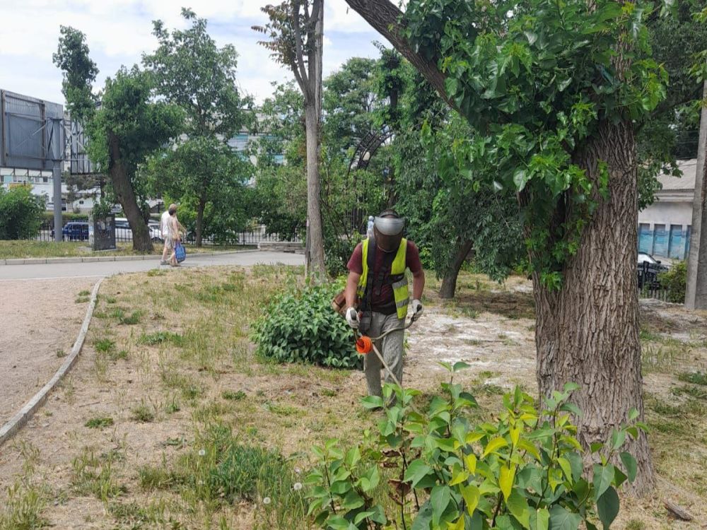 В парках и скверах Симферополя в ежедневном режиме ведётся покос травы: в работах задействовано 12 человек В парках и скверах Симферополя в ежедневном режиме ведётся покос травы: в работах задействовано 12 человек