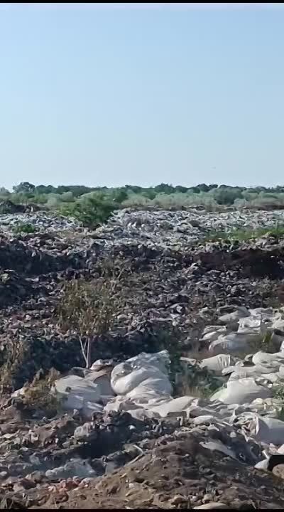 ����� ��������: ��������� ������ ���������� ������