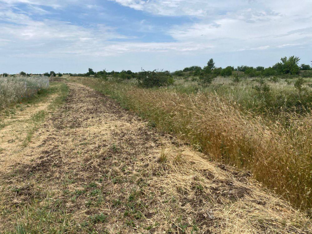 В Кировском районе по требованию прокуратуры в двух населенных пунктах созданы противопожарные минерализованные полосы