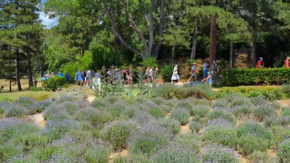 ����� ��������: �����, ������������� � ����� ��������� ����������� �������� ������������� ���������� ����������� �� ������� �������� �������� ��� ������� ������ ���������� III ���������� ������ ��� ������ � �������� �� ������� ������������