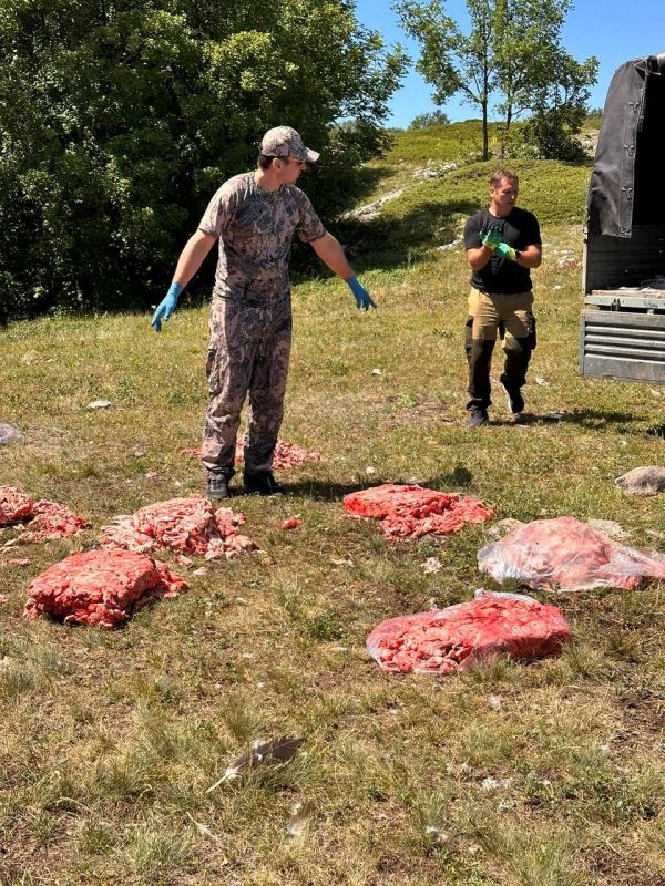 Заместитель министра экологии и природных ресурсов Республики Крым Виктория Щербакова приняла участие в подкормке чёрных грифов и белоголовых сипов на плато горы Чатыр-Даг Заместитель министра экологии и природных ресурсов Республики Крым Виктория Щербакова приняла участие в подкормке чёрных грифов и белоголовых сипов на плато горы Чатыр-Даг