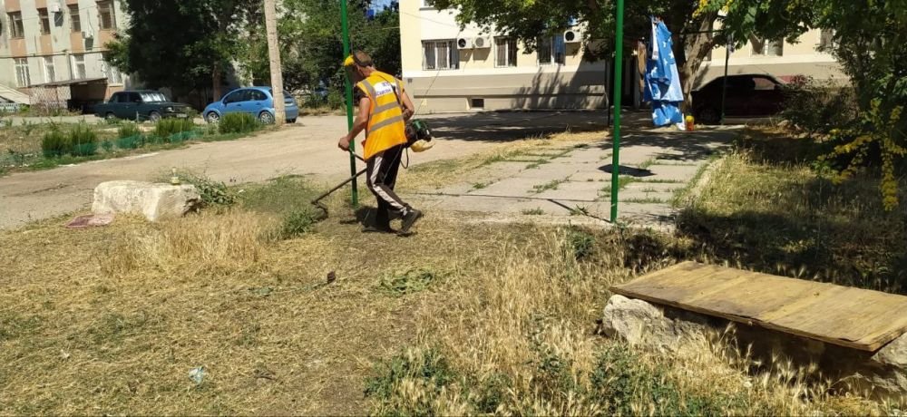 Александр Овдиенко: Подчеркиваю значимость покоса травы при сложившихся погодных условиях Александр Овдиенко: Подчеркиваю значимость покоса травы при сложившихся погодных условиях
