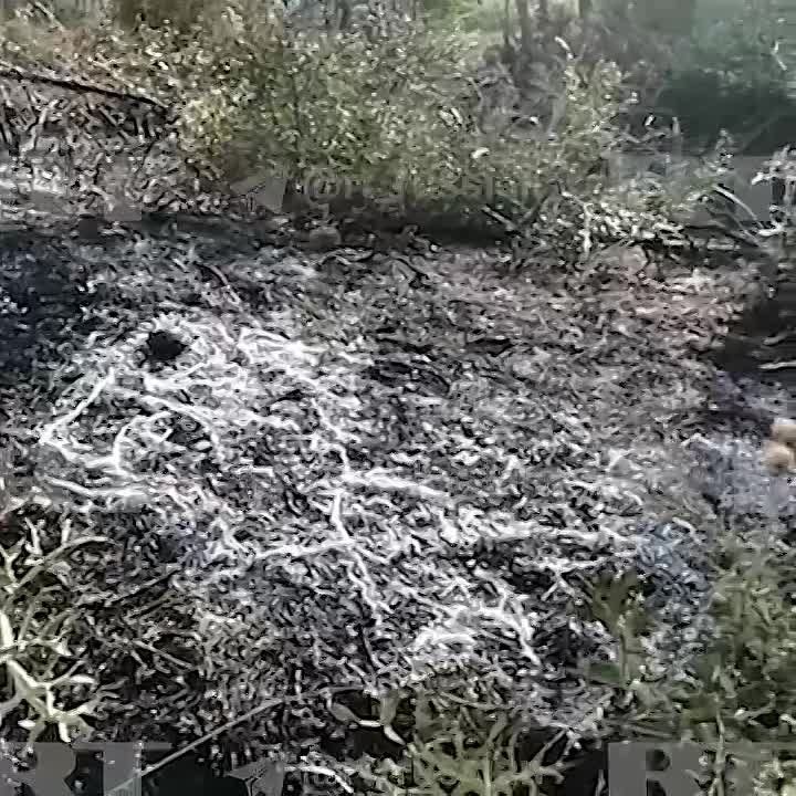«Вокруг всё задымилось. Люди закричали»
