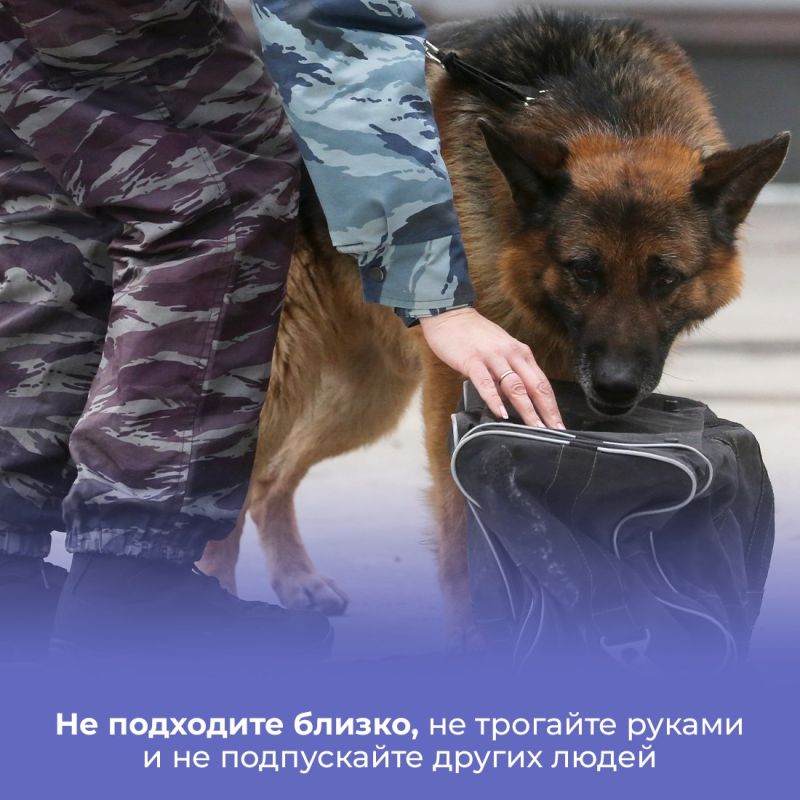 Василий Грабован: Крымские правоохранители напоминают, как действовать при обнаружении подозрительных и оставленных предметов Василий Грабован: Крымские правоохранители напоминают, как действовать при обнаружении подозрительных и оставленных предметов