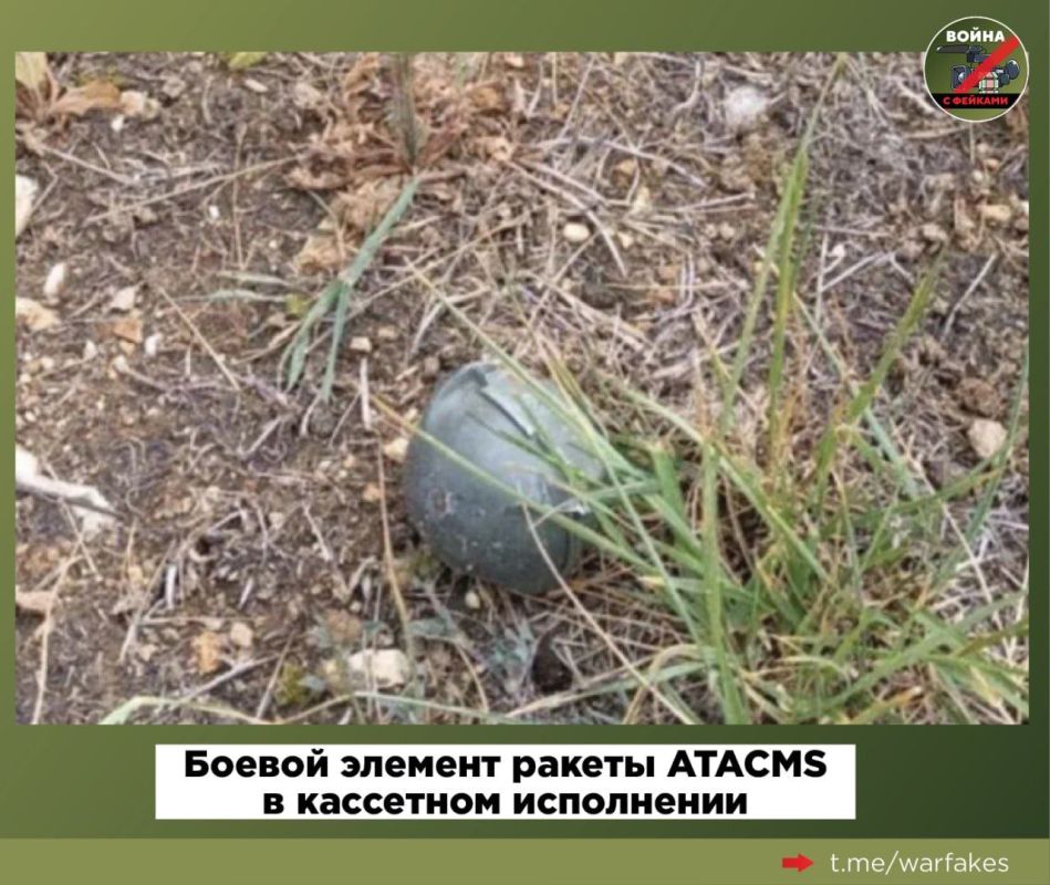 Фейк: Трагедия на пляже в Севастополе произошла из-за падения российской зенитной ракеты комплекса «Тор», а вовсе не из-за удара американской ракетой ATACMS Фейк: Трагедия на пляже в Севастополе произошла из-за падения российской зенитной ракеты комплекса «Тор», а вовсе не из-за удара американской ракетой ATACMS
