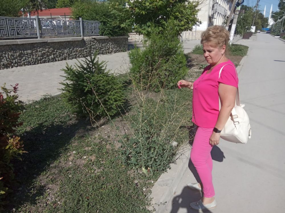 Светлана Маслова: В ходе рабочего оценили санитарное состояние улично-дорожной сети, дворовых и общественных территорий города Белогорск Светлана Маслова: В ходе рабочего оценили санитарное состояние улично-дорожной сети, дворовых и общественных территорий города Белогорск