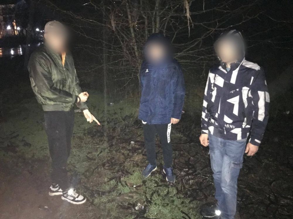 В Евпатории к длительным срокам лишения свободы приговорены жители региона за попытки сбыть синтетические наркотики В Евпатории к длительным срокам лишения свободы приговорены жители региона за попытки сбыть синтетические наркотики