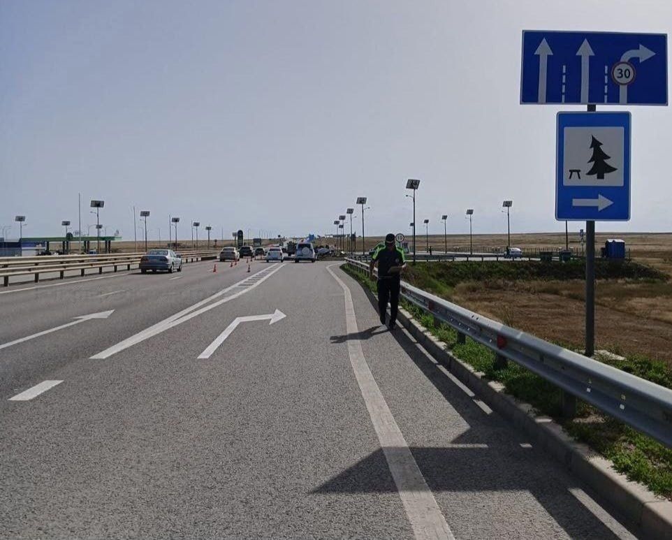 24 ���� 2024 ���� �� ���������� ������-�����������-������������ ��������, 1953 ���� ��������, �������� �� ������� �. ���� � ����������� �. ����������, ���������������� �������� ��� �� ����