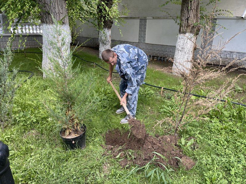 В Евпатории полицейские приняли участие в эколого-патриотической акции «Сад памяти» В Евпатории полицейские приняли участие в эколого-патриотической акции «Сад памяти»