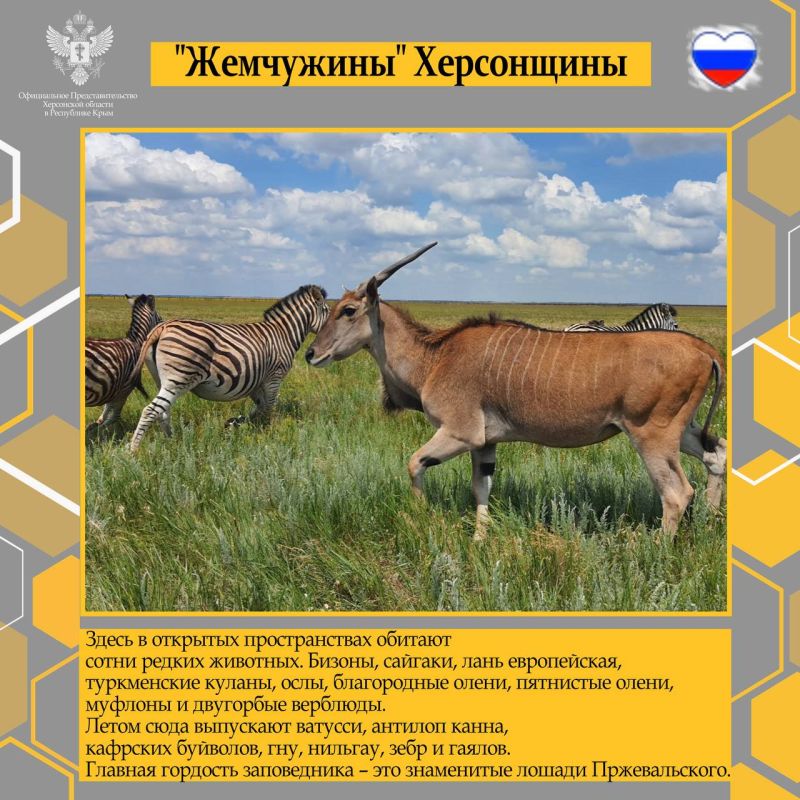 "Жемчужины" Херсонщины. Сегодня Херсонская область возрождается после более чем тридцатилетнего сна: на территории нашего региона, благодаря федеральной поддержке, строятся и ремонтируются дороги, больницы, школы и детские сады "Жемчужины" Херсонщины. Сегодня Херсонская область возрождается после более чем тридцатилетнего сна: на территории нашего региона, благодаря федеральной поддержке, строятся и ремонтируются дороги, больницы, школы и детские сады