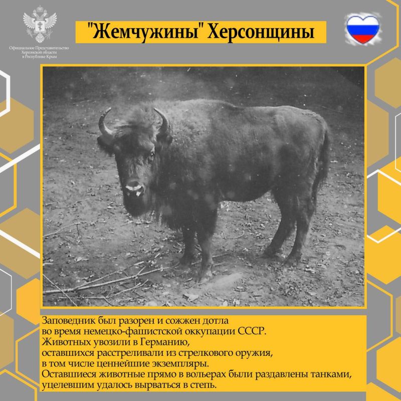 "Жемчужины" Херсонщины. Сегодня Херсонская область возрождается после более чем тридцатилетнего сна: на территории нашего региона, благодаря федеральной поддержке, строятся и ремонтируются дороги, больницы, школы и детские сады "Жемчужины" Херсонщины. Сегодня Херсонская область возрождается после более чем тридцатилетнего сна: на территории нашего региона, благодаря федеральной поддержке, строятся и ремонтируются дороги, больницы, школы и детские сады
