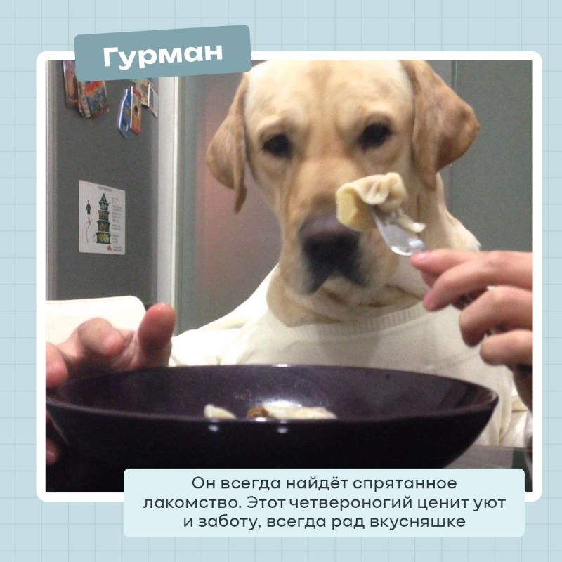 А вы знали,что 2 июля отмечается Международный день собак? А вы знали,что 2 июля отмечается Международный день собак?