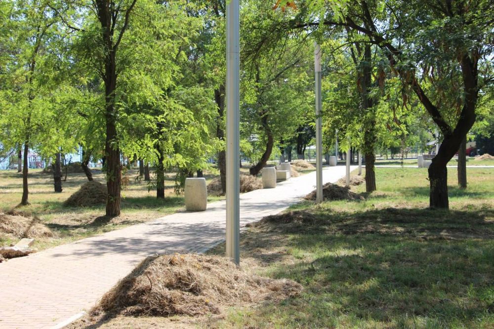 #городские_новости. Санитарное состояние и уборка закрепленных территорий. Эти вопросы были подняты на выездном совещании с предпринимателями, ведущими свою деятельность в Комсомольском парке #городские_новости. Санитарное состояние и уборка закрепленных территорий. Эти вопросы были подняты на выездном совещании с предпринимателями, ведущими свою деятельность в Комсомольском парке