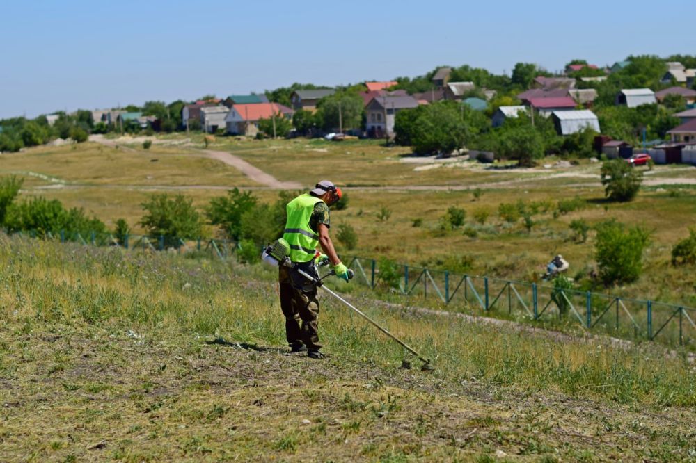 В крымской столице продолжаются работы по ликвидации очагов произрастания амброзии В крымской столице продолжаются работы по ликвидации очагов произрастания амброзии