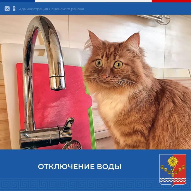 ��������� ������ ��� �� ����� ����� ��������, ��� � ����� � ����������� ��������-��������� ����� �� ������������� �������� � 1 ��-500 �� � ������ �. ���������� 4 ���� 2024 �. 16:00 �� 21:00 (��������������) ����� ������� �������� ����