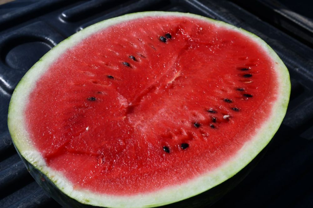 Василий Грабован: Где самые вкусные арбузы и дыни? Конечно, в Красногвардейском районе! Василий Грабован: Где самые вкусные арбузы и дыни? Конечно, в Красногвардейском районе!