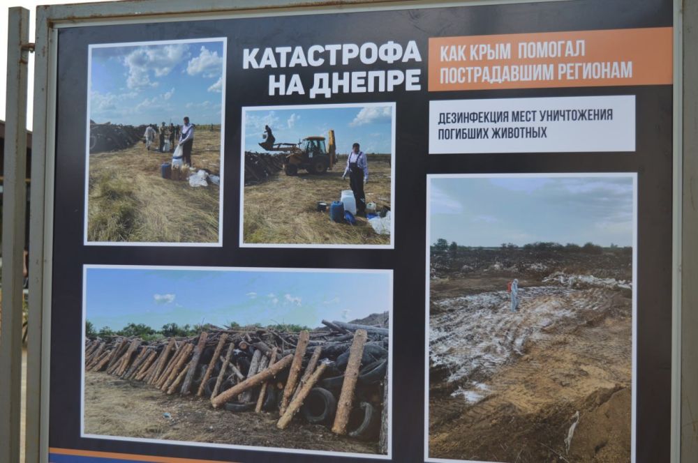 В центре Симферополя открылась фотовыставка "Катастрофа на Днепре" В центре Симферополя открылась фотовыставка "Катастрофа на Днепре"
