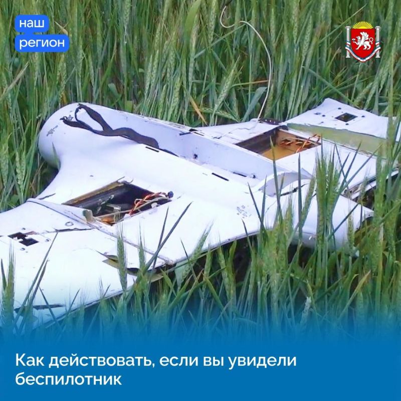 ��� ������, ���� �� ������� �����������?