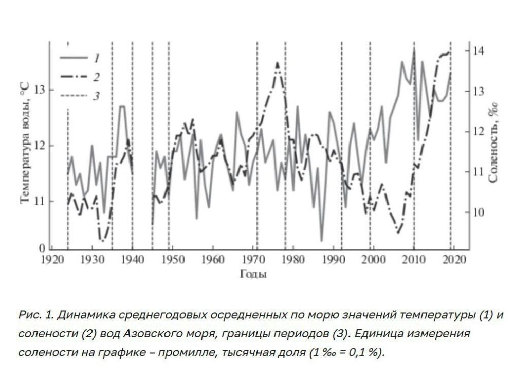 Фейк: Осолонение Азовского моря из-за строительства Крымского моста привело к нашествию медуз Фейк: Осолонение Азовского моря из-за строительства Крымского моста привело к нашествию медуз
