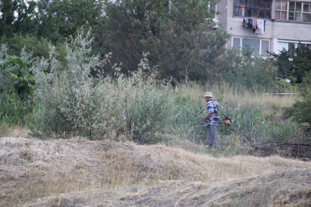 Игорь Ткаченко: Прошло две недели, отведенные «Городскому благоустройству» на наведение чистоты и порядка на Челноковском массиве Игорь Ткаченко: Прошло две недели, отведенные «Городскому благоустройству» на наведение чистоты и порядка на Челноковском массиве