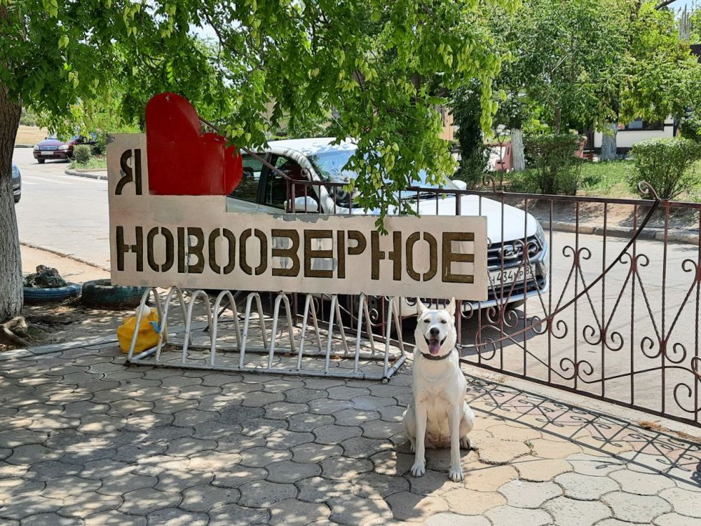 Иван Просоедов: По поручению главы администрации города Евпатории Александра Юрьева и как куратор поселка, встретился с председателями многоквартирных домов пгт Новоозерное Иван Просоедов: По поручению главы администрации города Евпатории Александра Юрьева и как куратор поселка, встретился с председателями многоквартирных домов пгт Новоозерное
