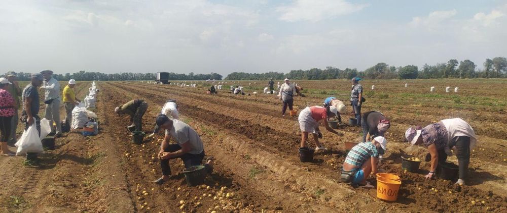 Капельное и дождевальное орошение помогает аграриям Крыма увеличить урожай Капельное и дождевальное орошение помогает аграриям Крыма увеличить урожай