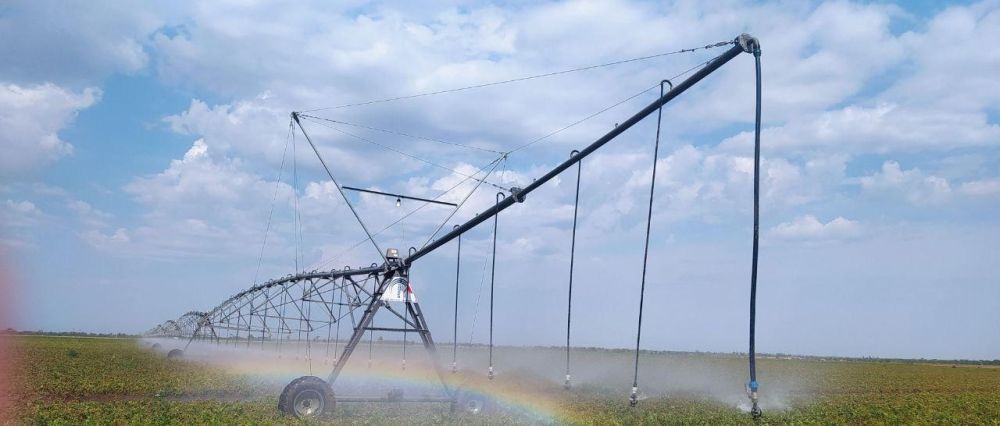 Капельное и дождевальное орошение помогает аграриям Крыма увеличить урожай Капельное и дождевальное орошение помогает аграриям Крыма увеличить урожай