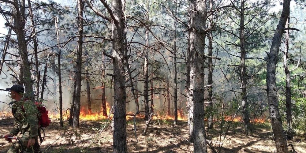 Ольга Славгородская: Ещё один очень важный результат этой рабочей недели Ольга Славгородская: Ещё один очень важный результат этой рабочей недели