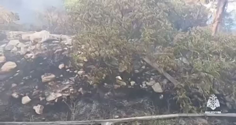 � ������ ����� ����� �����