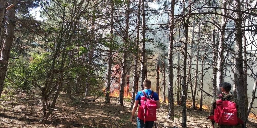 Ольга Славгородская: Ещё один очень важный результат этой рабочей недели Ольга Славгородская: Ещё один очень важный результат этой рабочей недели