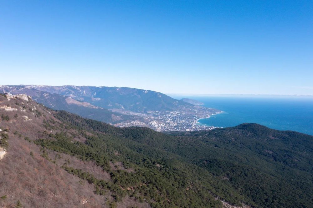 ����� ��������: ������! ����� ������ � ������������ ������� � ������ �� �������� ��������� � ������� �� �������� ������