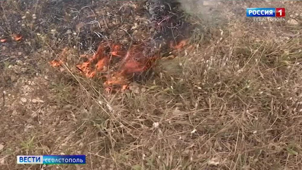 � ����������� ������ ���� �� ������� ��������� ������