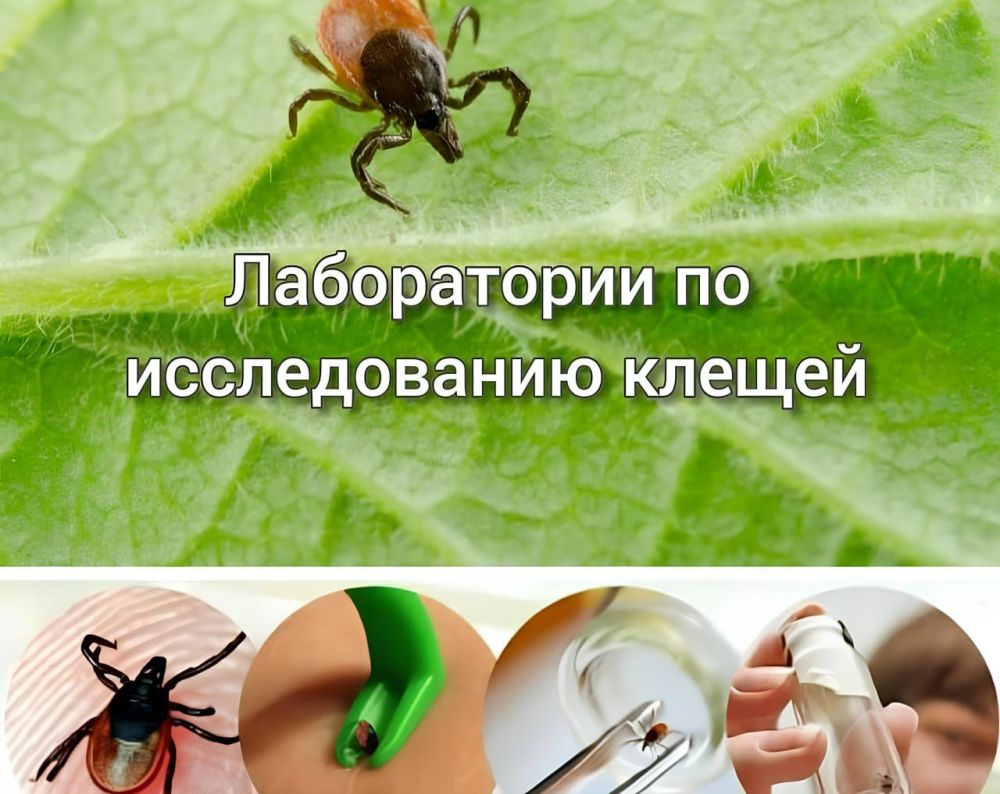 � ������ ����������� �� ���� ����� � ��� ����� ���������� ���������� � ���������� ���� �� ����������� �������� �1 ��. �.�....