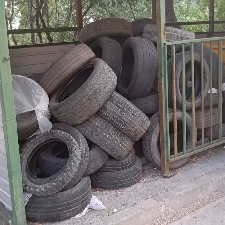   :      